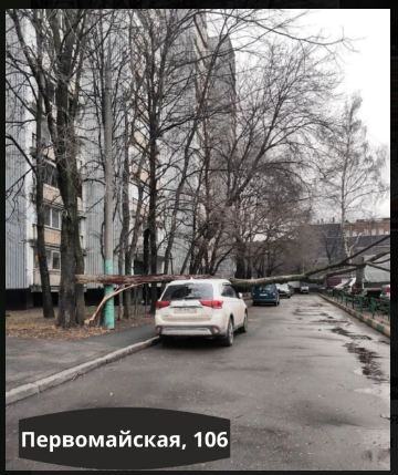 На Верхней Первомайской упавшее дерево перекрыло проезд
